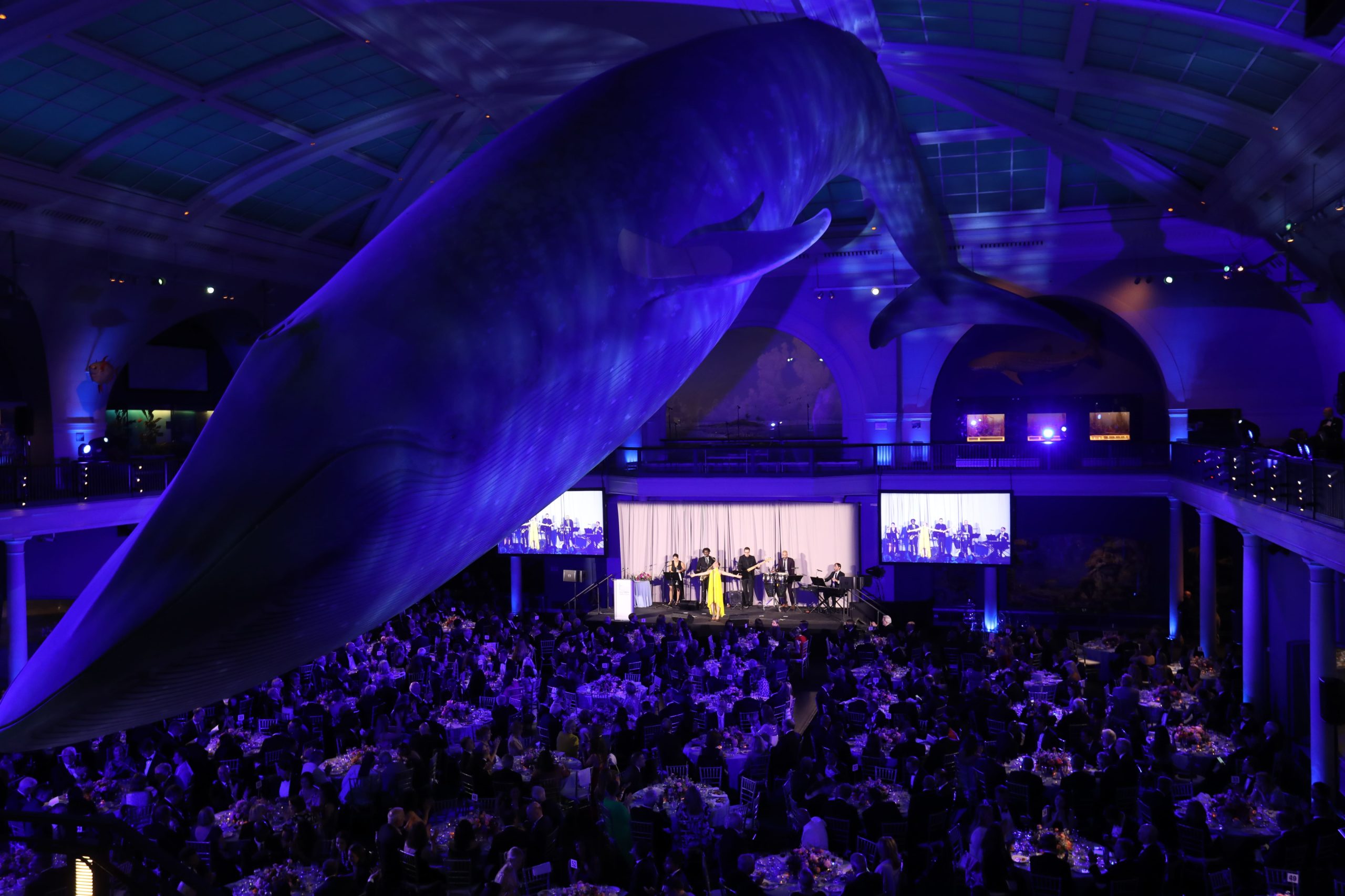 Underneath the Blue Whale, Catholic Charities Gala Highlights Outreach to Immigrants and the Hungry