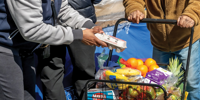 Catholic Charities of New York in Action